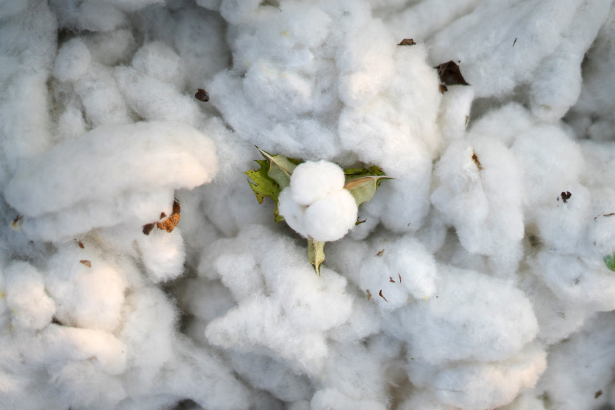 Material Deep Dives: How to Choose the Right Fabric for Your Custom Merch